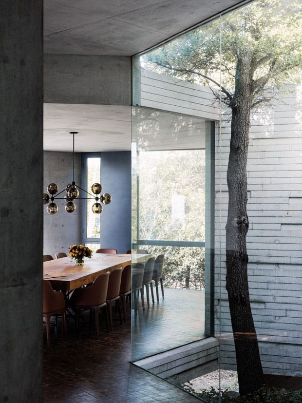 Concrete cocoon interior by Tatiana Bilbao: protective volumes, raw concrete and natural light.