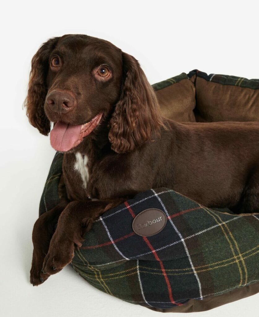 Dog lying in the Barbour Classic Tartan basket - dog bed in quilted tartan fabric and corduroy, elegant and comfortable, signed Barbour.