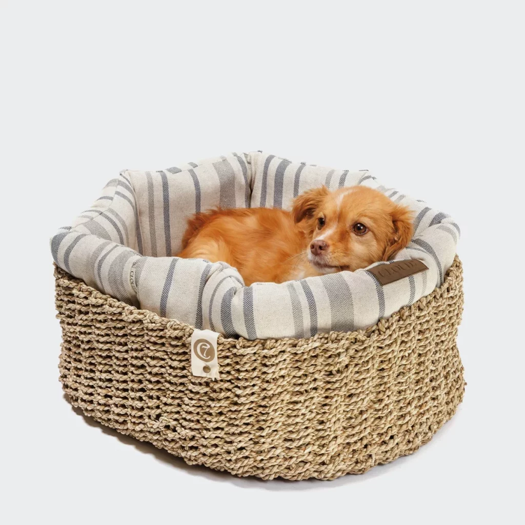 Little dog lying in the Lazy Linen Stripes basket from Cloud7 - handcrafted bedding in organic linen and woven water hyacinth, combining comfort and natural design.