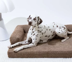 Mobilier Design pour Animaux : Le panier design, un refuge esthétique pour nos compagnons chiens.