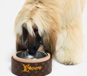 Les grandes maisons de luxe réinventent le quotidien de nos animaux