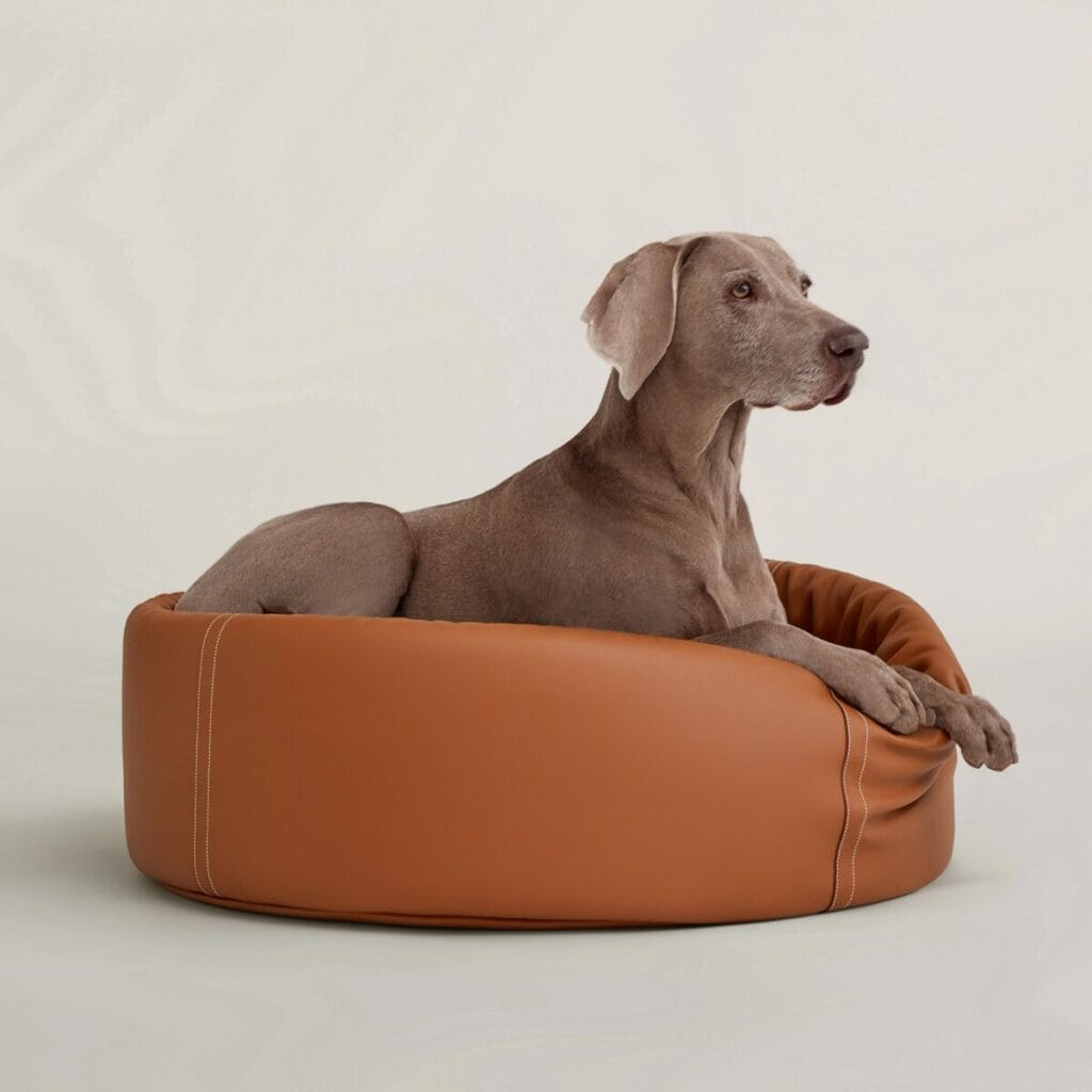 Chien allongé dans le panier pour chien Patapouf Hermès en cuir camel, design haut de gamme et confort premium pour animaux.